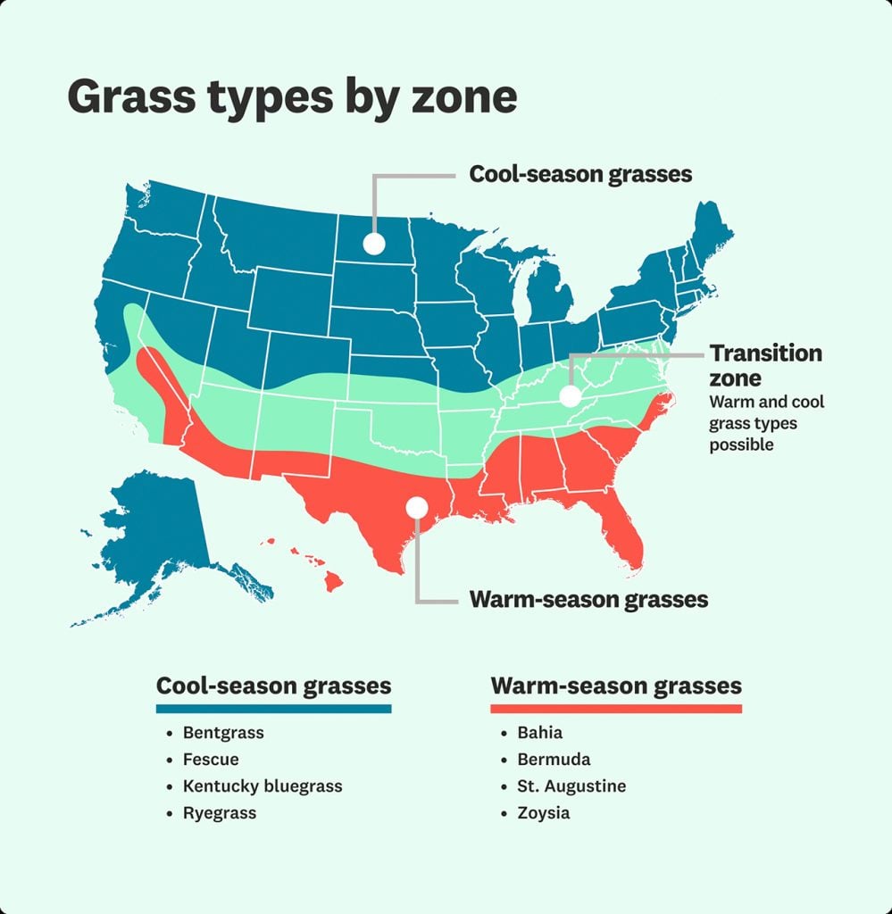 Comparison of Bermuda, Zoysia, St. Augustine with Kentucky Bluegrass, Fescue, Ryegrass for seasonal lawn care.
