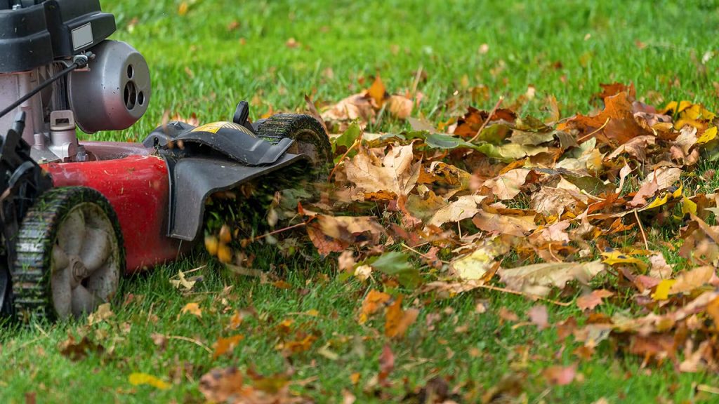 Fall Lawn Care Tips including leaf removal, overseeding, fertilization, aeration, mower blade adjustment, and winterizing lawn equipment for a healthy lawn transition into winter.