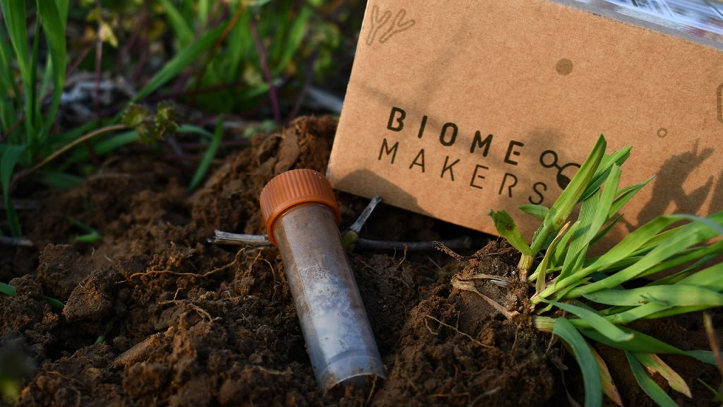 Soil test results showcasing nutrient and pH analysis for lawn care and maintenance.