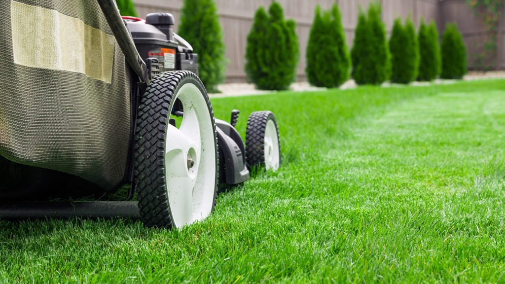 Summer lawn care covering mowing, watering, weed and pest control, and dethatching to maintain a healthy lawn during warm months