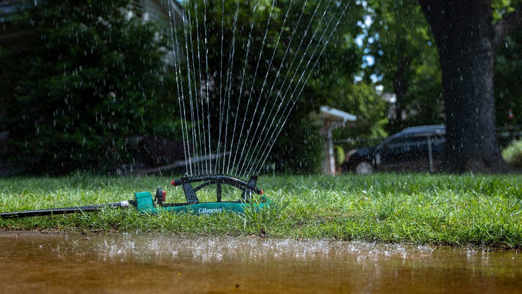 Illustration of water conservation techniques in lawn care including efficient watering, understanding lawn watering needs, and rainwater harvesting for a lush, healthy lawn.