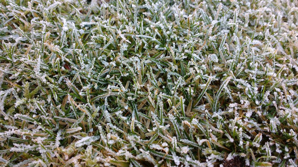 Winter lawn care tips including debris removal, minimizing foot traffic on frozen lawn, lawn equipment maintenance, and planning for the next growing season.
