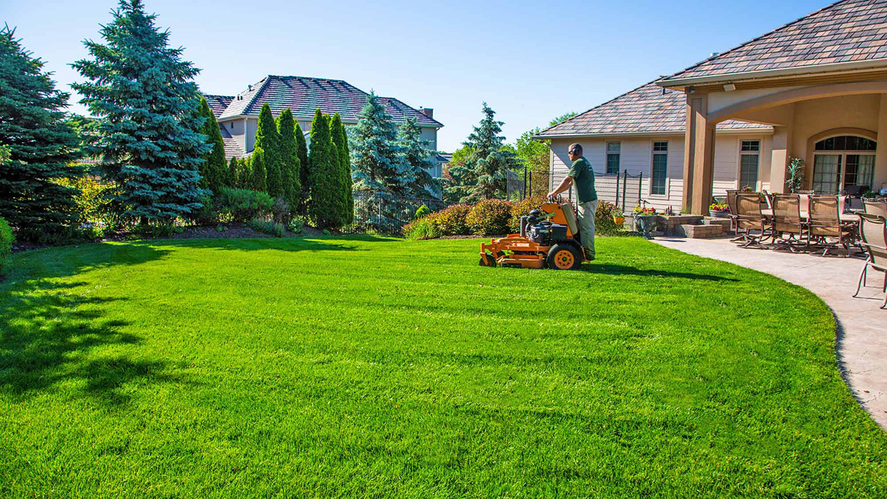 Master the art of seasonal lawn care with our comprehensive guide. Explore tips for spring revival, summer maintenance, fall repair, and winter preservation for a captivating lawn all year.